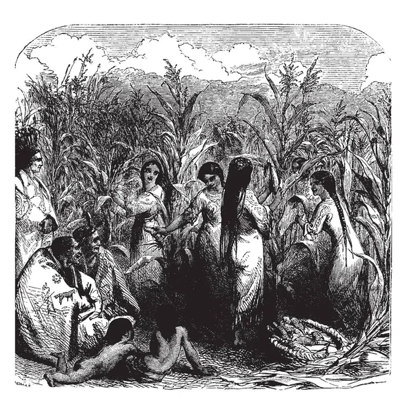 Група Жінок Збирають Кукурудзу Вінтажний Малюнок Або Гравірувальна Ілюстрація — стоковий вектор