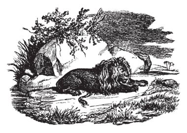 Büyük bir kayanın önünde yaslanmış aslan eski Alman İncil, vintage çizgi çizme veya oyma illüstrasyon işareti gospel sonundaki bir kısım olarak kullanılır.