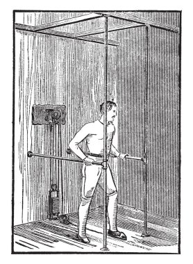 Parlak kırmızı kış elma, çok iyi kalitede ve kolayca sevk, vintage çizgi çizme veya oyma illüstrasyon Baldwin elma olduğunu.