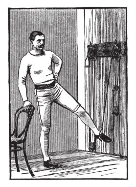 Raphistoma yumuşakça yaymak Paleozoyik zaman, vintage çizgi çizme veya oyma illüstrasyon.