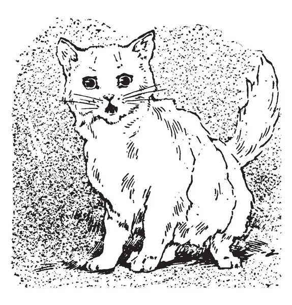 Chat Miaule Cette Scène Montre Chat Miaule Dessin Ligne Vintage — Image vectorielle