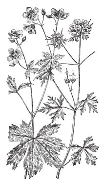 Düz arka ve sağ bacağını yukarı yön, vintage çizgi çizme veya oyma illüstrasyon yükselterek bir adam yatıyor.