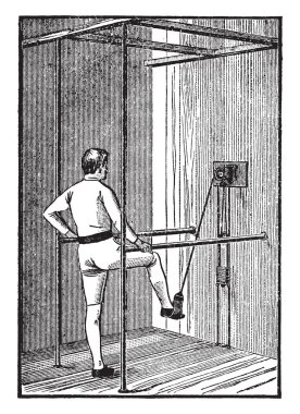 Yumurta biçimli yaprakları ile kenarlı loblar, çizim için vintage çakışan veya illüstrasyon oyma ile dişli.