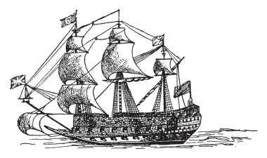 Bir resmi bir şube gösteren ve çiçek mor koni-çiçek Brauneria Pallida, vintage çizgi çizme veya oyma illüstrasyon bilinen.