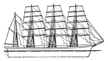 Bir resim bölümü Büyükanne hücre, çizim için vintage üçüncü aşama gösterilen veya illüstrasyon oyma.