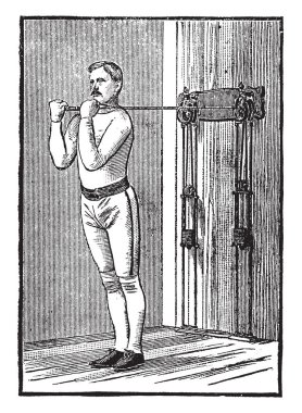 Ortak ebegümeci dik veya secde, büyüyen iki farklı türler, vintage çizgi çizme veya oyma illüstrasyon olabilir varsaymak kolaydır çünkü hangi başlangıçta karışıklığa neden olabilir bulunabilir.