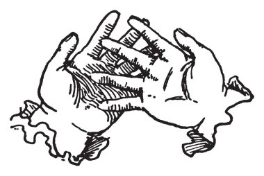 Bu resmi bir çocuğun elleri, vintage çizgi çizme veya oyma illüstrasyon temsil eder.