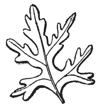 Antik bir Roma tanrısı Pluton heykeli ile üç başlı köpek Cerberus, vintage çizgi çizme veya oyma illüstrasyon olarak bilinen yer altı dünyasının kapıları korunan antik mitoloji.