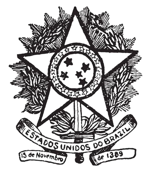 Бразильський Герб Складається Центральної Емблеми Оточеної Кави Корони Утворена Відділення — стоковий вектор
