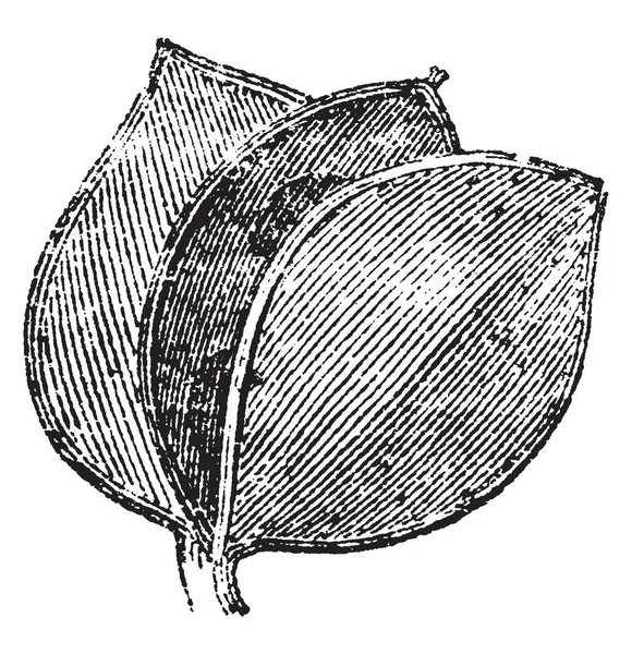 この図は 受信電話が受信機 ビンテージの線描画や彫刻イラストで聞こえる音に信号を変換する 電話の受話器 — ストックベクタ