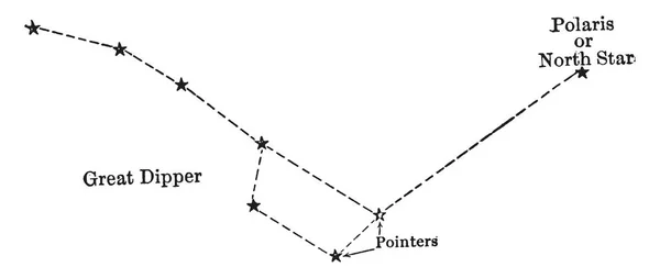 Osa Grande Consiste Siete Estrellas Más Brillantes Constelación Dibujo Línea — Vector de stock