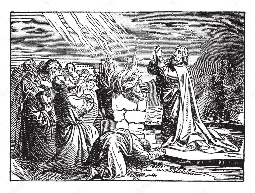 In the picture Elijah and some people are kneeled down before the altar and praising the god. The altar has a bull on top of it and it is on fire, vintage line drawing or engraving illustration.