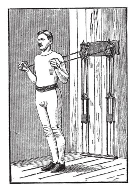 Bu resim çeşitli Cutworm aşamaları, vintage çizgi çizme veya oyma illüstrasyon temsil eder..