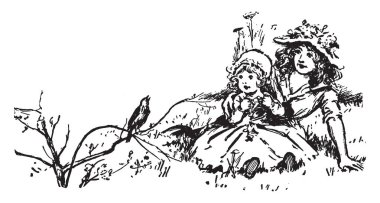 Bu çam bloğudur ahşap şeklinde Inter. Bir kısmı erken büyüme ve bazı geç büyüme, çizim için geç, vintage büyüyen veya illüstrasyon oyma bazı sütun vardır farklı satır ve sütun.