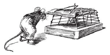 Bir asker, vintage çizgi çizme veya oyma illüstrasyon