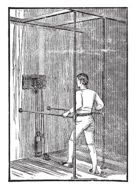 Bir yumurta bir resmini bile loblar, vintage çizgi çizme veya oyma illüstrasyon sahip yaprak şeklinde.