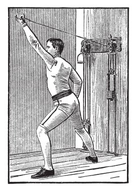 Bir resim bölümü Büyükanne hücre, çizim için vintage dokuzuncu sahne gösterilen veya illüstrasyon oyma.