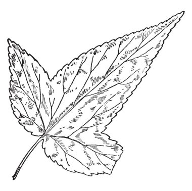 Çalışan ve ekleme üç tek basamaklı sayılar, buna ek olarak, çalışan, çocuklar sayı dışında oynarken etiket Game, vintage çizgi çizme veya oyma illüstrasyon.