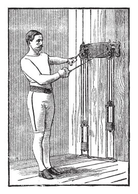 Köpek Violet (Viola conspersa) Menekşegiller ailesine ait. Bir çok yıllık bitki bitki, kalp şeklinde, yapraklar kaynaklanıyor vardır ışık yeşil ve tüysüz ve çiçek yaprakları, vintage çizgi çizme veya oyma illüstrasyon axil geliştirmek.