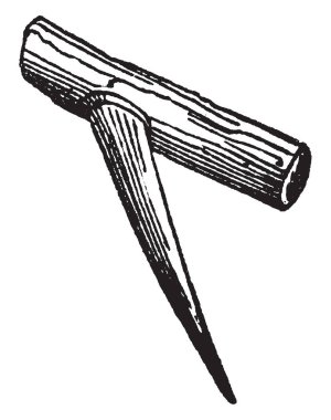 Bu şekilde, bir diken üzerinde bitki, vintage çizgi çizme veya oyma illüstrasyon Şubesi yoktur.