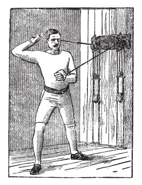 Küçük bir bitkidir. İki Yataklı leaf sekiz yaprakları ile küçük çiçek vardır. Büyük ve neredeyse yarısı, vintage doğrultusunda çizim veya illüstrasyon oyma ayrı bitki yaprakları.