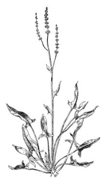 İnsanlar arıyorum, insanlar ve kova elinde tutan bir çocuk vintage çizim için seyir bir şey, ya da resim oyma çocuk bu sahne gösterir