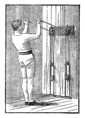 Oksijen sürecinin ondan oluşturulan. Bu görüntü fotosentezin spektrumdur. Dışarıda bakteri frekans ve oksijen üretmek, vintage çizgi çizme veya oyma illüstrasyon.