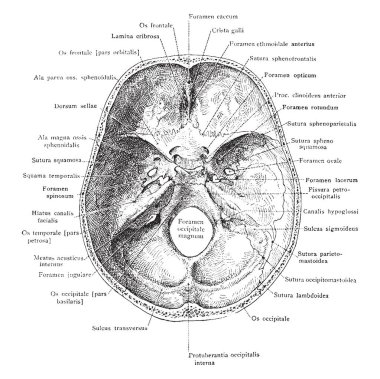 Bu örnekte, Bankası kafatasından vintage çizgi çizme veya oyma illüstrasyon içinde temsil eder.