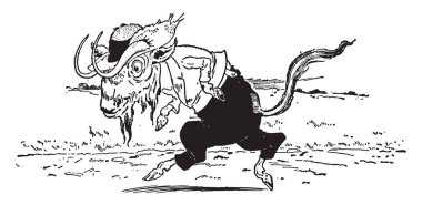 Bombus pennsylvanicus, vintage olan B Pennsylvanicus çizim veya gravür çizim satırı.