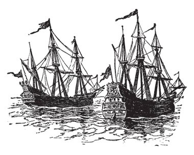 Bu kırlangıçotu otsu bitki görüntüsüdür. İki sepals ile dört sarı yaprakları, çiçekleri oluşur. Yaprakları loblu ve dalgalı kenarlı kenar boşlukları, vintage çizgi çizme veya oyma illüstrasyon ile pinnate.