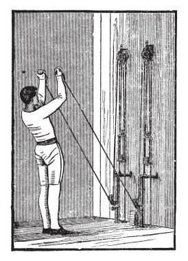 Kıllı Rock Cress turpgiller aile ve Avrupa, Asya ve Kuzey Amerika, vintage çizgi çizme veya oyma illüstrasyon kuzey yarısında'e ait olduğu.