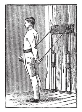 Bu tür görünüm dünya çapında değişkendir. Ungrooved akan parlak sarı çiçekleri taşıyan kaynaklanıyor. Yaprakları üç loblu broşürler, vintage çizgi çizme veya oyma illüstrasyon ile bileşik.