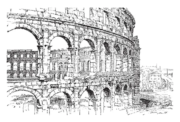 Amphitheater Pola Dalmatia Oval Circular Plan Surrounded Central Performance Area — Stock Vector
