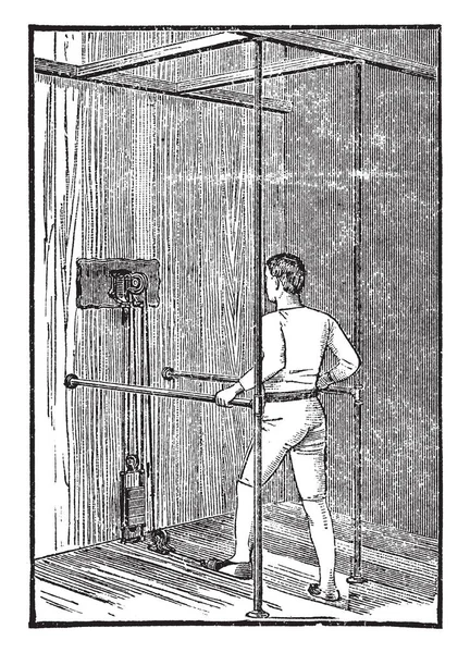 Bir yumurta bir resmini bile loblar, vintage çizgi çizme veya oyma illüstrasyon sahip yaprak şeklinde.