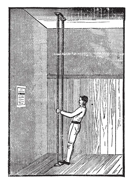 Bir resim bu boyalı Kupası çiçek kırmızı ve ince gösteriyor. İnce ve uzun yuvarlak, vintage çizgi çizme veya oyma illüstrasyon kök olduğunu.