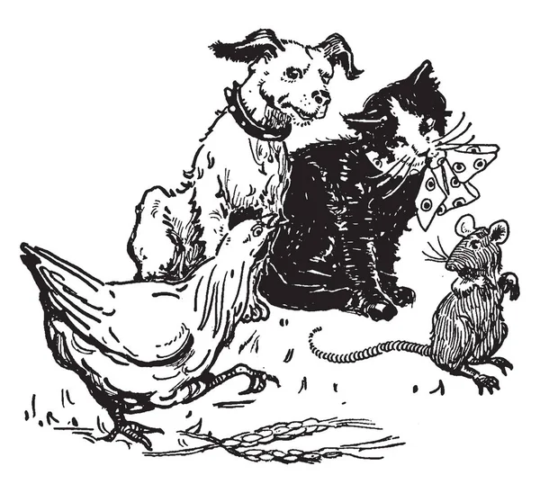 Szczur Kot Pies Patrząc Kierunku Trochę Kura Vintage Rysowania Linii — Wektor stockowy