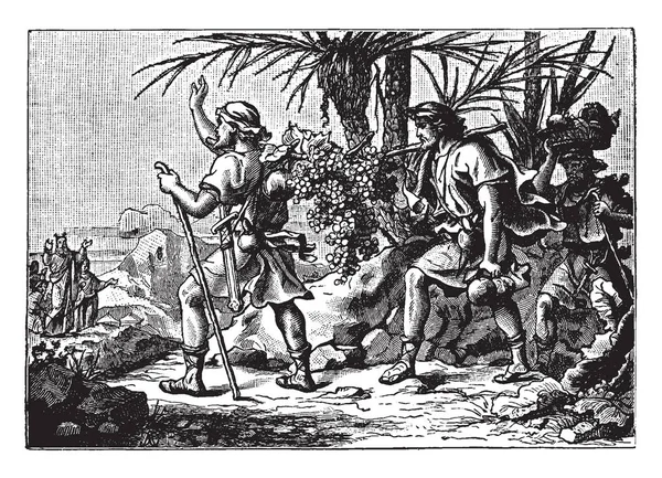 ブドウと別の大きな束を運ぶ二人の男は男の頭の上の果物の運ぶバスケットとそれらに続いた これらの男性 ビンテージの線の描画や彫刻イラストに挙手でバック グラウンドで立っていたモーセ — ストックベクタ
