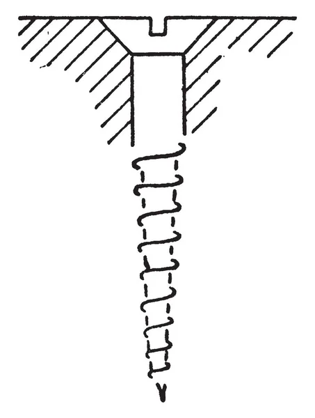 Esta Ilustración Representa Tornillo Madera Avellanado Cuando Coloca Agujero Dibujo — Vector de stock