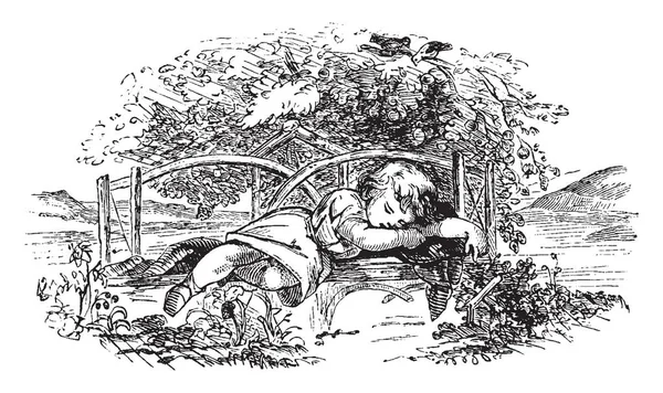 Ένα Όμορφο Κορίτσι Κοιμάται Ένα Στασίδι Στο Σχέδιο Κήπων Vintage — Διανυσματικό Αρχείο