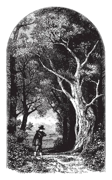 Homme Debout Dans Les Bois Dessin Ligne Vintage Illustration Gravure — Image vectorielle