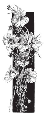 Bir erkek bir kadın kollarında bebek tutan taşıyan bir eşek lider kadrosu ile halo ışık bebeğin başı, arka plan, vintage çizgi çizme veya oyma illüstrasyon ağaçlar çevreleyen.