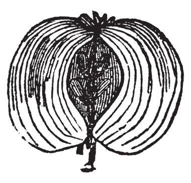 Bu sahneyi aydaki adam bir adam başka bir adam ona yaklaşma, köpek ayakta ve fener ay, diğer yıldız ve gezegen arka plan, vintage çizgi çizme veya oyma illüstrasyon konuşurken ay gösterir