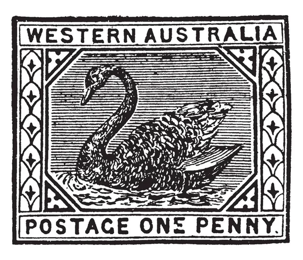 这个图片代表西部澳洲一便士邮票从1890年到 1893 复古线图画或雕刻例证 — 图库矢量图片