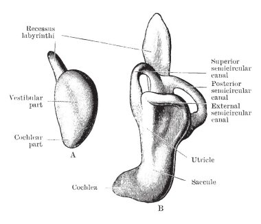 Bu resimde labirent geliştirme, vintage çizgi çizme veya oyma illüstrasyon temsil eder..
