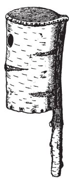 Bu resim huş ağacı kabuğu kutusunda, iç içe geçmiş vintage çizgi çizme veya oyma illüstrasyon temsil eder..