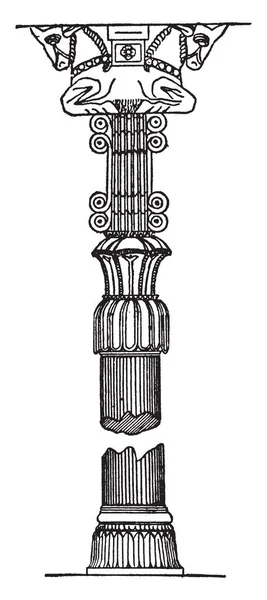 Column Persepolis Largest Cedars Lebanon Teak Trees India Did Fulfill — Stock Vector