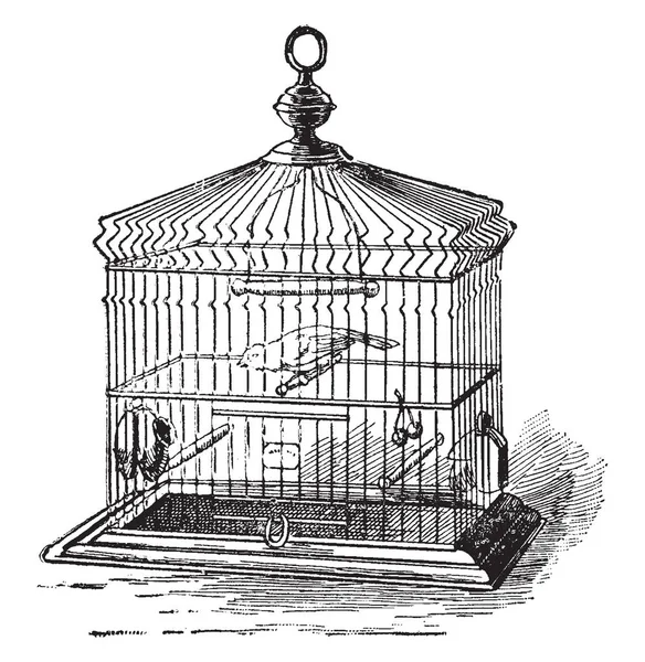 Birdcage Which Cage Pet Birds Vintage Line Drawing Engraving Illustration — Stock Vector