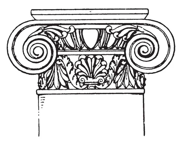 Capital Romano Jónico Diseño Pergamino Enrollado Ambos Lados Con Curvas — Vector de stock