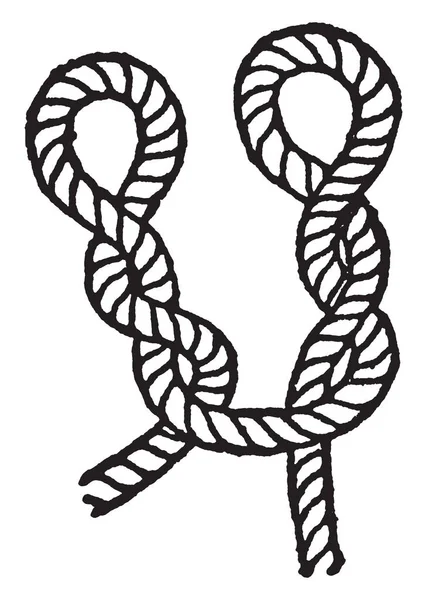 Büküm bir kordon ters yönde iki bölümden yukarı ve gözleri, vintage çizgi çizme veya oyma illüstrasyon mücadele kanca kedi pençe.