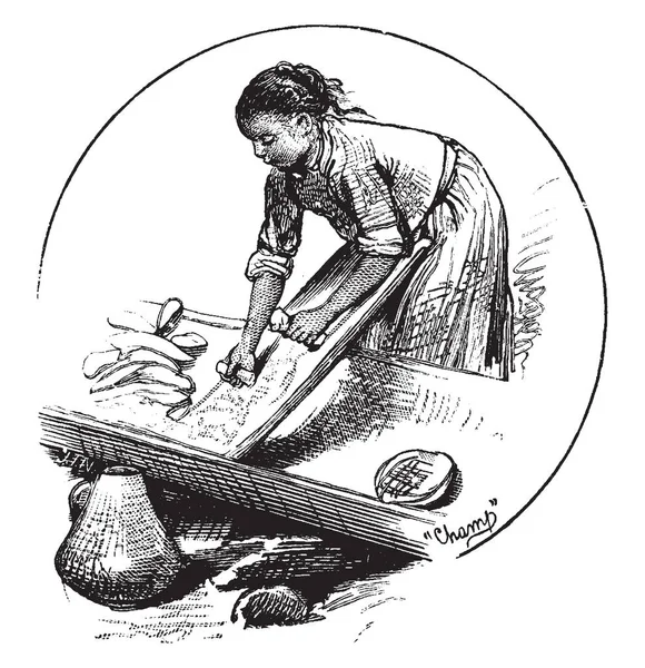 Решетка Женщин Рисунок Винтажной Линии Гравировка — стоковый вектор